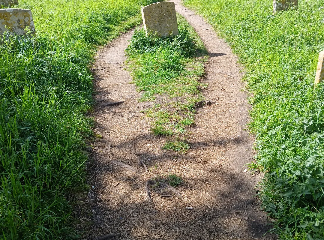 46 Desire Paths That Expose Urban Design Fails